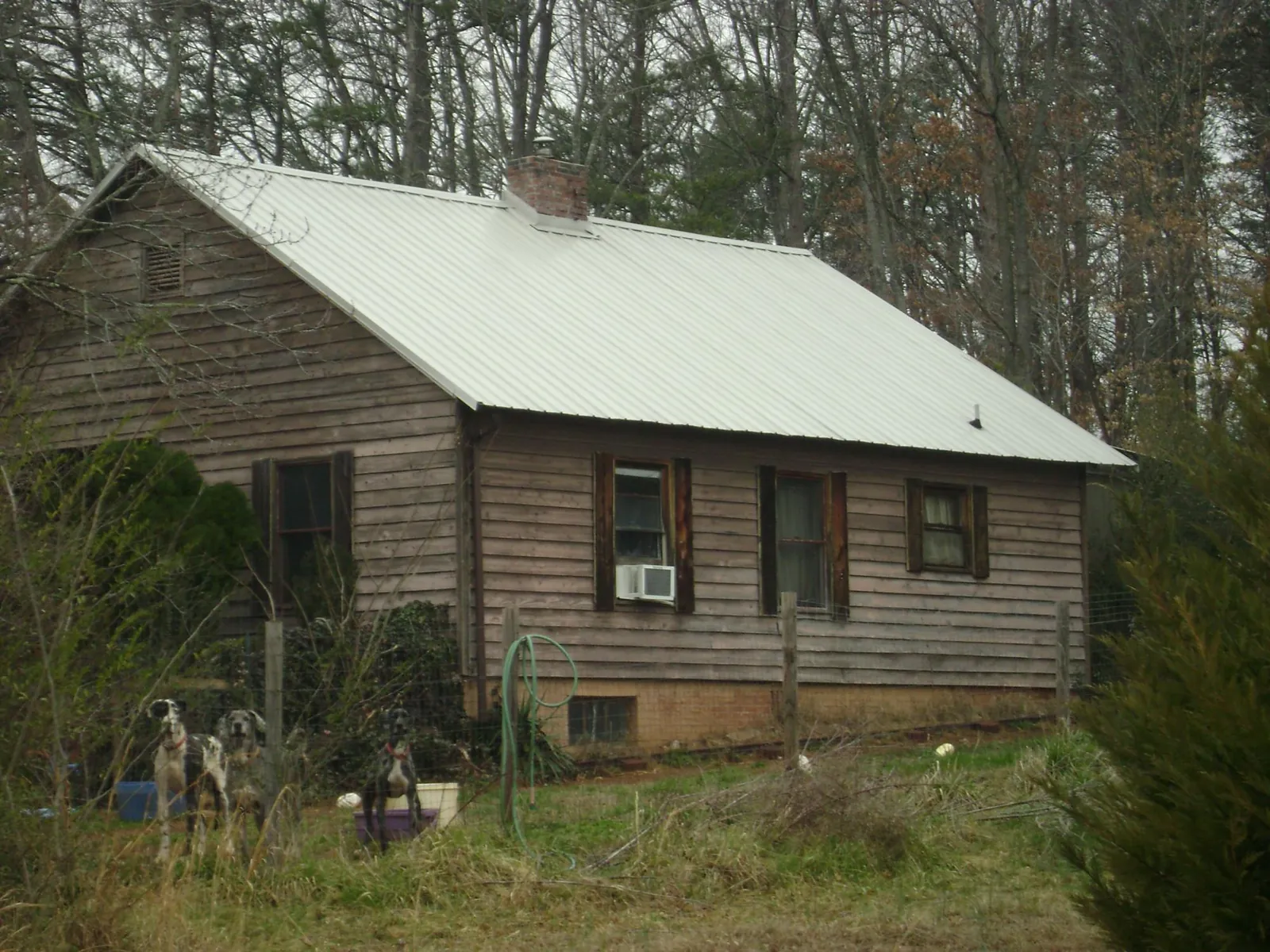 White metal roof on an old wood sided farmhouse, from a Asphalt Shingle Roof Repair job in Greencreek